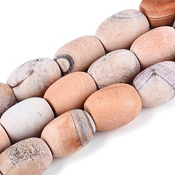 Окрашенные естественный агат бисер пряди&nbsp;G-T144-29