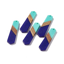 Подвески из непрозрачной смолы и ореха RESI-M027-06E