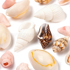 4 стиль натуральных бусин из каури BSHE-FS0001-03