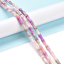 天然ドロマイト & 合成オパール ビーズ 連売り  染め  竹の棒  プラム  12x5mm  穴：0.5mm  約34個/連  15.94''（40.5センチメートル）&nbsp;G-P475-03D