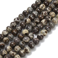 Нити бусин из натурального астроита и яшмы G-F814-A01-4mm