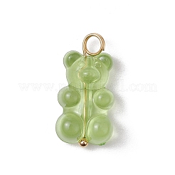 16шт прозрачные акриловые подвески PALLOY-JF03542