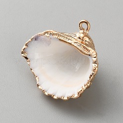 Pendentifs en coquillages naturels galvanisés&nbsp;BSHE-WH0017-01G