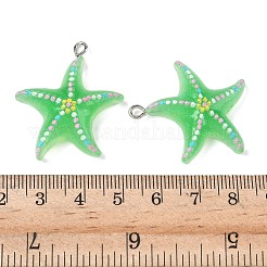 Подвески из непрозрачной смолы&nbsp;RESI-Z040-06P-04