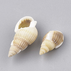 Perle di conchiglia a spirale&nbsp;SSHEL-S251-06