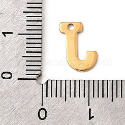 Anhänger aus 304 Edelstahl&nbsp;STAS-B093-12G-J