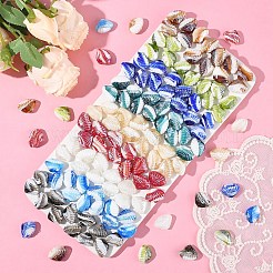 20шт ручной работы бусины лэмпворк&nbsp;LAMP-YW0001-61A