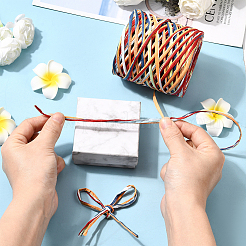 Сегментированные окрашенные шнуры из рафии для поделок своими руками&nbsp;OCOR-WH20020-27H