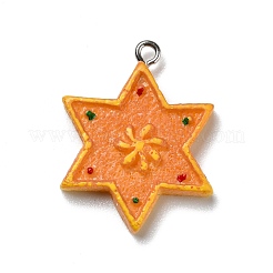 Pendentifs en résine opaque&nbsp;RESI-D055-133P