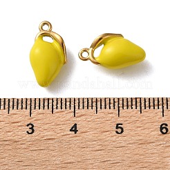 Подвески из нержавеющей стали 304 с эмалью&nbsp;STAS-B100-06G-06