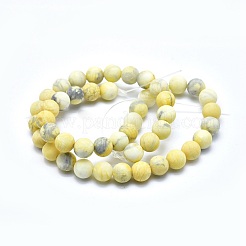 Естественно Howlite шарик нити G-I224-04B-8mm