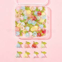 50шт прозрачные акриловые подвески&nbsp;PALLOY-FS00043-03