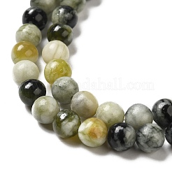 Xiuyu naturelle perles de jade brins&nbsp;G-H298-A08-02