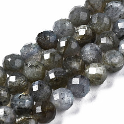 Natural Labradorite Beads Strands, Faceted, Round, 6.5mm, Hole: 1mm, about 63~64pcs/strand, 15.08 inch~15.28 inch(38.3cm~38.8cm)