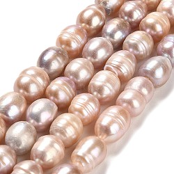 Hebras de perlas de agua dulce cultivadas naturales, arroz, grado ab, marrón rosado, 12~14x11~12mm, agujero: 0.6 mm, aproximamente 29~31 pcs / cadena, 14.57~14.96'' (37~38 cm)