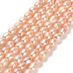 Fili di perle di perle d'acqua dolce coltivate naturali, due lati lucido, grado 6 un, salmone chiaro, 6.5~8.5x5.5~6.5mm, Foro: 0.5 mm, circa 46~47pcs/filo, 13.43~13.70 pollice (34.1~34.8 cm)