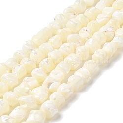 Fili di perle di conchiglia trochid naturale / trochus, pepite, beige, 10~13.5x9~12mm, Foro: 1 mm, circa 24~25pcs/filo, 15.35~15.55 pollice (39~39.5 cm)