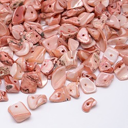 Cuentas de chips de concha de agua dulce natural teñida, fragmentos de concha, rosa brumosa, 9~12x6~15mm, agujero: 1 mm, aproximamente 900 unidades / 500 g
