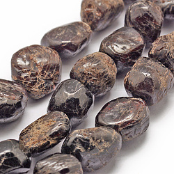Granate natural hebras, piedra caída, pepitas, 18~25x18~25x15~23mm, agujero: 2 mm, aproximamente 17~22 pcs / cadena, 15.7 pulgada (40 cm)