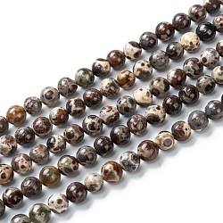 Perles rondes en agate naturelle, teints et chauffée, café, 6mm, Trou: 1mm, Environ 65 pcs/chapelet, 15.55''~15.7