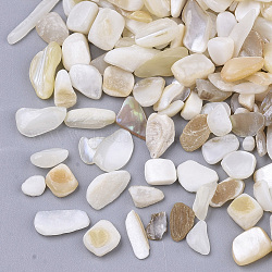 Abalorios de concha de agua dulce, perlas sin perforar / sin orificios, chip, color de concha, 1~16x1~5x0.5~5mm