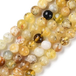 Chapelets de perles en opale jaune naturelle, Grade b, ronde, 6mm, Trou: 1mm, Environ 65 pcs/chapelet, 15.47'' (39.3 cm)