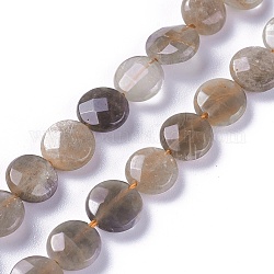 Brins de perles de sunstone noirs naturels, facette, plat rond, 7.8~8.5x3.5~3.8mm, Trou: 0.8mm, Environ 46 pcs/chapelet, 14.7 pouce (37.5 cm)