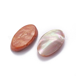 Liens multi-brins shell, avec acrylique au dos, ovale, chocolat, 29.7~30x17~18x5~6mm, Trou: 1.6~1.8mm