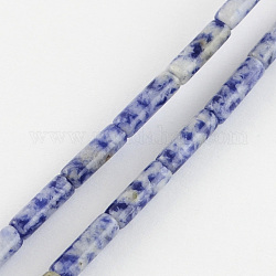 Natürlichen blauen Fleck Edelsteinperlen Stränge, Tube, blauer Fleck Jaspis, 13x4~5 mm, Bohrung: 1 mm, ca. 27~30 Stk. / Strang, 15.3 Zoll