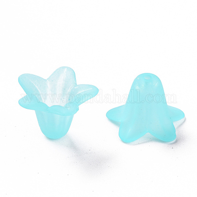 Прозрачные акриловые бусины PLF018-13-1