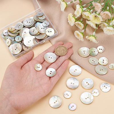 PH 100pcs Natural Shell Buttons 3 Sizes Shell Round Buttons 2-Hole Sewing Buttons Craft Seashell Buttons for DIY Sewing