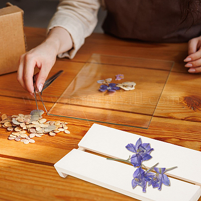 V-образный инструмент для изготовления образцов насекомых AJEW-WH0270-069-1