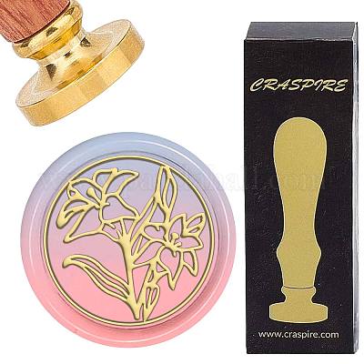 Латунные восковые печати с деревянной ручкой AJEW-WH0412-0165-1