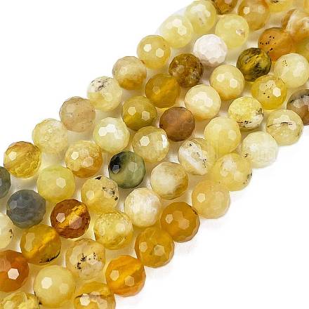 Природные желтые опал бусины пряди G-L597-C05-05-1