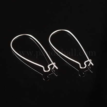 Accessoires de boucles d'oreilles fils avec cerceau rein EC221-S-1