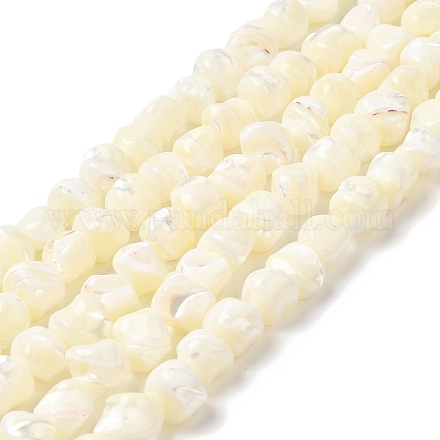 Fili di perle di conchiglia trochid naturale / trochus SHEL-F007-01-1