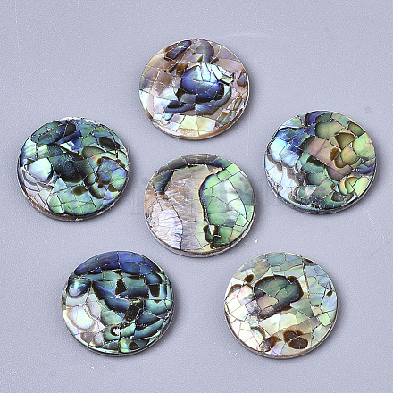 Cabochon di conchiglia abalone naturale / paua shell X-SSHEL-N034-45-1