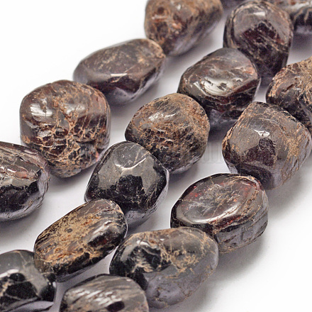 Natürlicher Granat Perlen Stränge G-P301-15-1