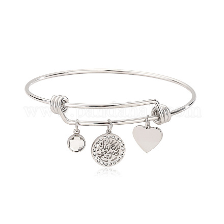 Браслеты из нержавеющей стали с микропаве из кубических цирконий PW-WG9247A-02-1