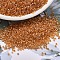 MIYUKI Delica Beads, Cylinder, Japanese Seed Beads, 11/0, (DB1702) Copper Pearl Lined Marigold, 1.3x1.6mm, Hole: 0.8mm, about 10000pcs/bag, 50g/bag