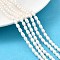 Natural Cultured Freshwater Pearl Beads Strands, Rice, Grade 3A+, Old Lace, 3.8~4.2mm, Hole: 0.7mm, about 56pcs/strand, 13.31''(33.8cm)