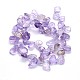 Natural Amethyst Beads Strands G-O050-06-2
