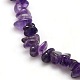 Natural Amethyst Chips Beads Strands X-G-P030-02-2
