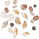CHGCRAFT 1box about 500g Mixed Ocean Sea Shells Natural Seashells Spiral Shell Beads for Fish Tank Home Decor Beach Theme Party Candle Making Wedding Decor IY Crafts BSHE-PH0003-03-3