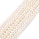 Нити из натурального культивированного пресноводного жемчуга PEAR-I007-02E-01A-2