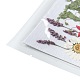 Gepresste Trockenblumen DIY-F075-01G-3