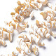 Brins de perles de coquille de puka naturelles SSHEL-N034-109-1