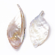 Perles de coquillages naturels d'eau douce SHEL-Q019-008-3