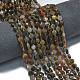 Природные окаменелое дерево бисер пряди G-K389-B33-01-2