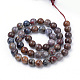 Brins de perles de pietersite naturelles G-R446-12mm-13-2